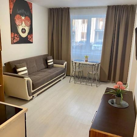 Apartament Irina ブラショフ エクステリア 写真