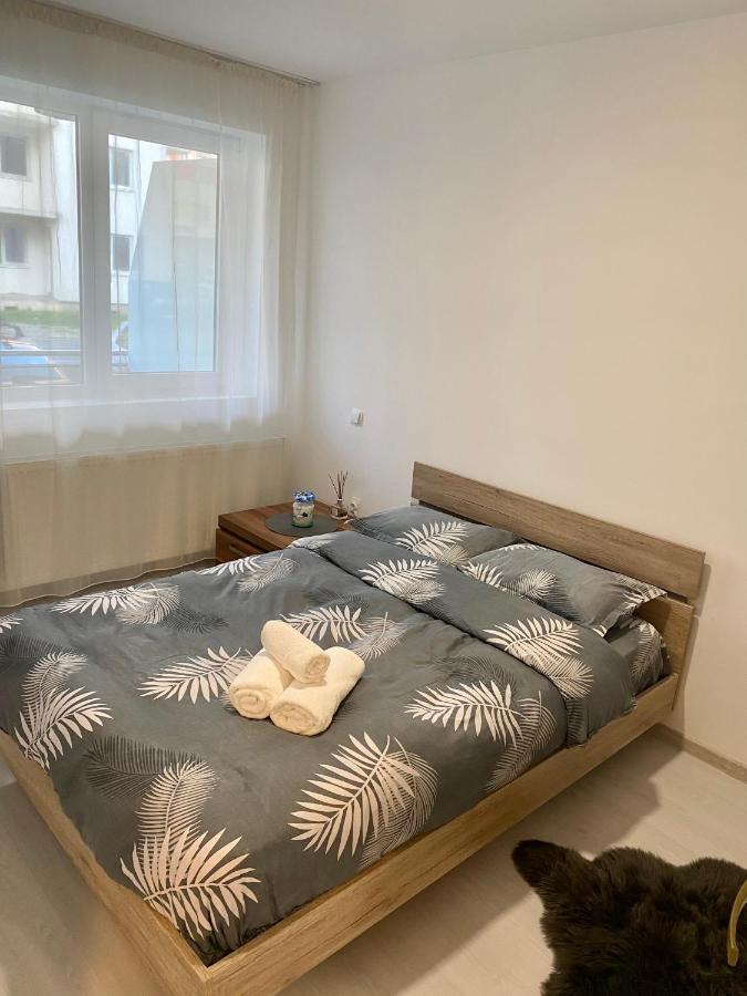 Apartament Irina ブラショフ エクステリア 写真
