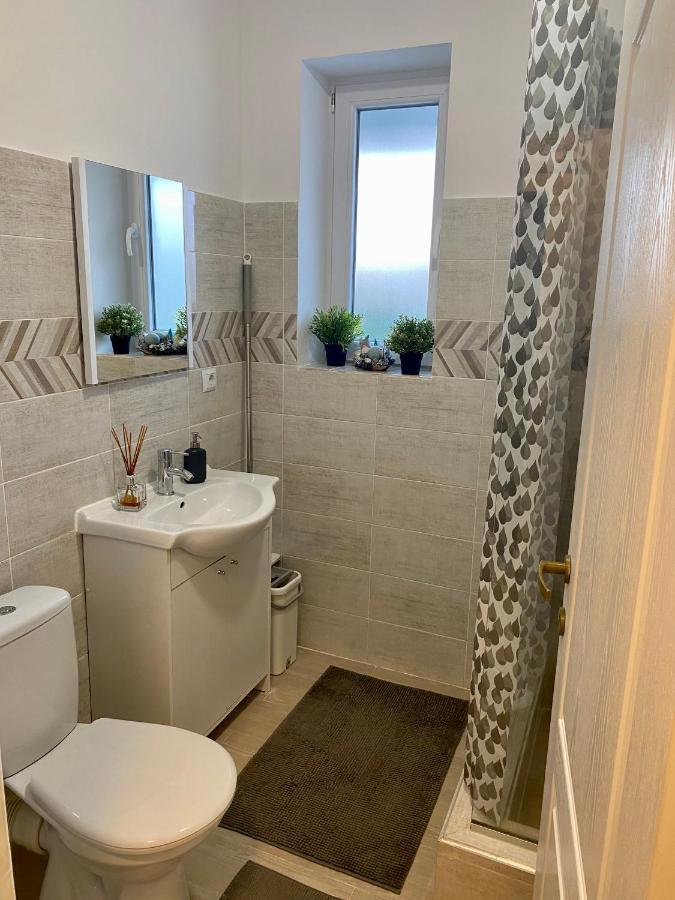 Apartament Irina ブラショフ エクステリア 写真
