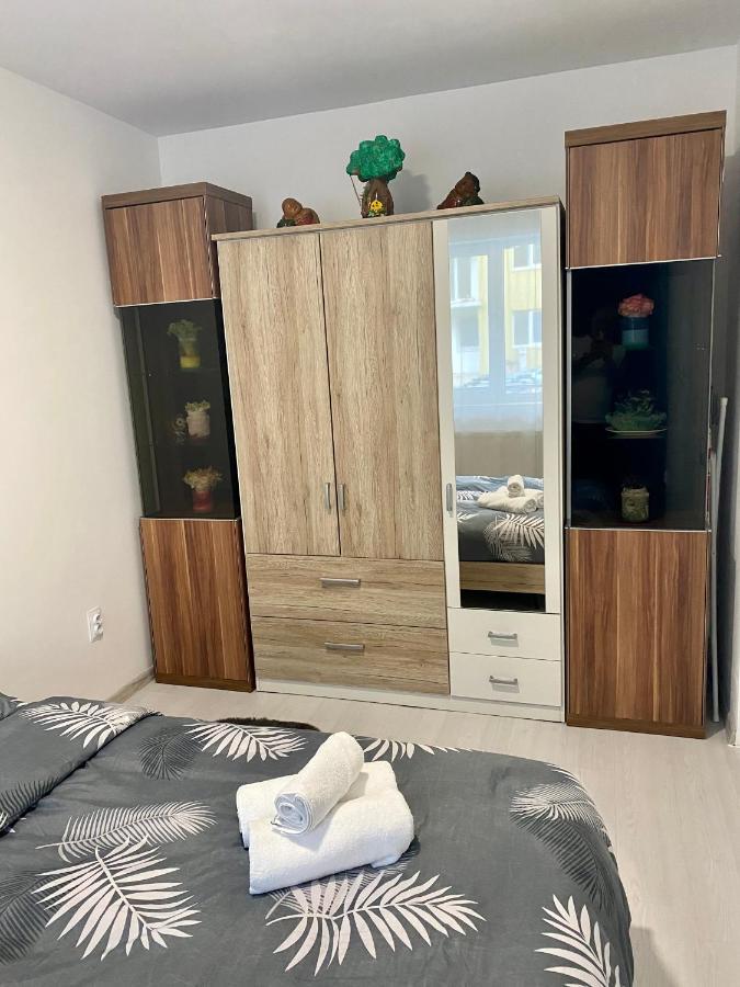 Apartament Irina ブラショフ エクステリア 写真
