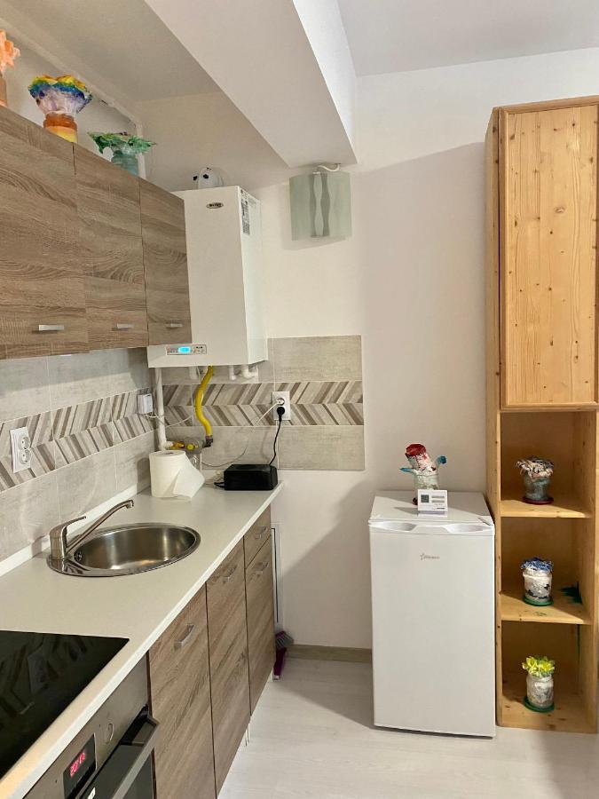 Apartament Irina ブラショフ エクステリア 写真